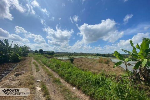 5500m2 Land in Tabanan, Bali (8717) 7