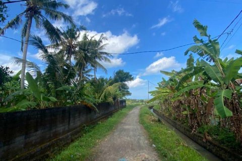 5500m2 Land in Tabanan, Bali (8717) 15