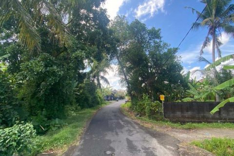 5500m2 Land in Tabanan, Bali (8717) 13