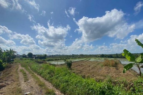 5500m2 Land in Tabanan, Bali (8717) 9