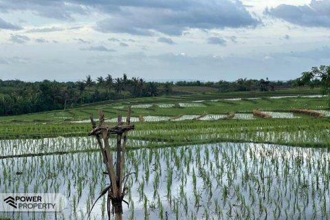 5500m2 Land in Tabanan, Bali (8717) 6