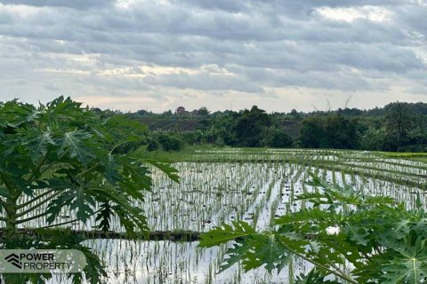 5500m2 Land in Tabanan, Bali (8717) 8