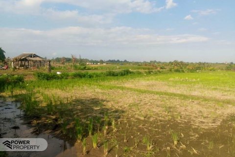 5500m2 Land in Tabanan, Bali (8717) 2