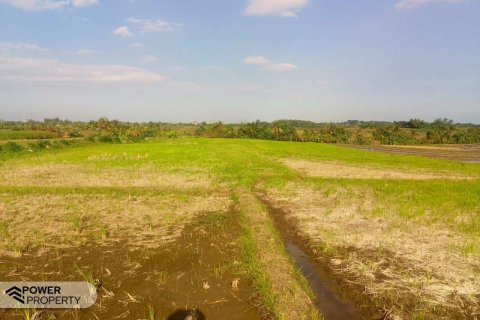 5500m2 Land in Tabanan, Bali (8717) 3