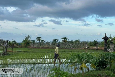 5500m2 Land in Tabanan, Bali (8717) 5