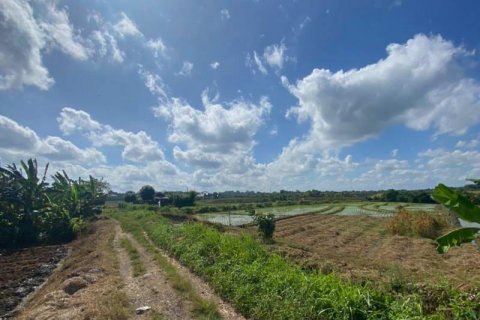 5500m2 Land in Tabanan, Bali (8717) 11