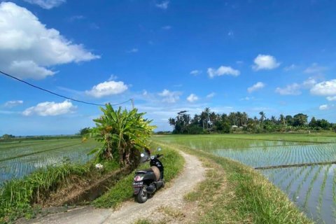 5500m2 Land in Tabanan, Bali (8717) 14