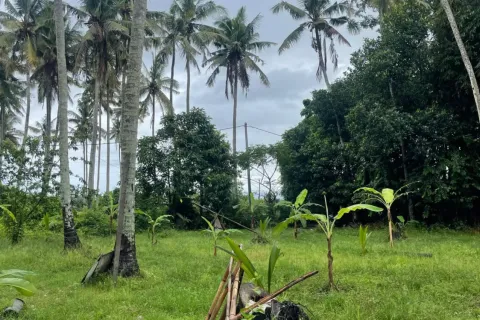 Land in Kediri, Tabanan, Bali (10859) 7