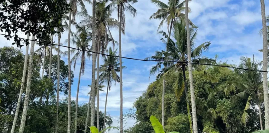 Land in Kediri, Tabanan, Bali (10859)