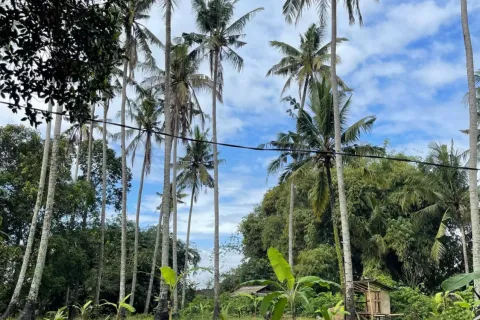 Land in Kediri, Tabanan, Bali (10859) 4