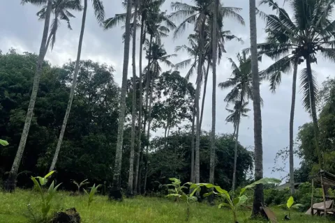Land in Kediri, Tabanan, Bali (10859) 2
