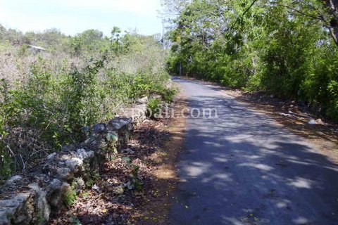 Tanah kavling 2078m2 di Nusa Dua, Badung, Bali (954) 2