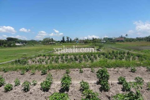 1875m2 Land in Gianyar, Bali (955) 9