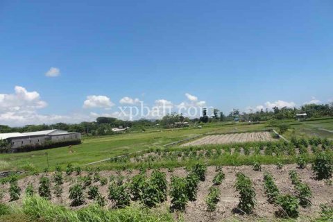 1875m2 Land in Gianyar, Bali (955) 10