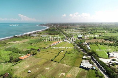 Tanah kavling 1875m2 di Gianyar, Bali (955)