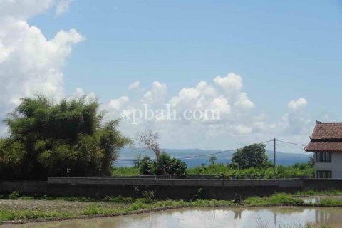 1875m2 Land in Gianyar, Bali (955) 6