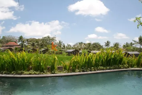 Vila 1 kamar tidur di Ubud, Gianyar, Bali (12935) 2