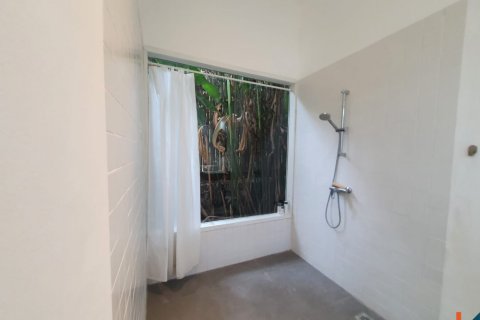 2 bedrooms Villa in Pererenan, Mengwi, Badung, Bali (11321) 8