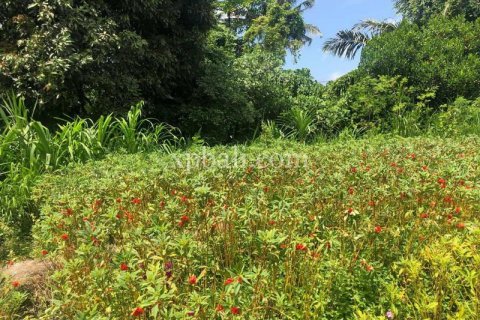 800m2 Land in Gianyar, Bali (784) 4