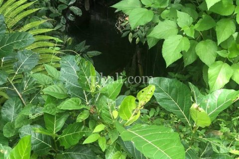 800m2 Land in Gianyar, Bali (784) 12
