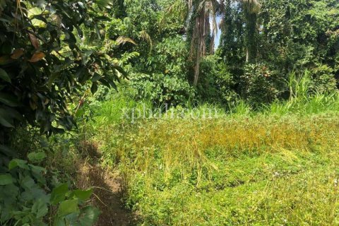 800m2 Land in Gianyar, Bali (784) 13