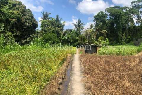 800m2 Land in Gianyar, Bali (784) 3