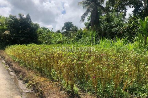 800m2 Land in Gianyar, Bali (784) 10