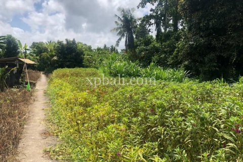 800m2 Land in Gianyar, Bali (784) 5