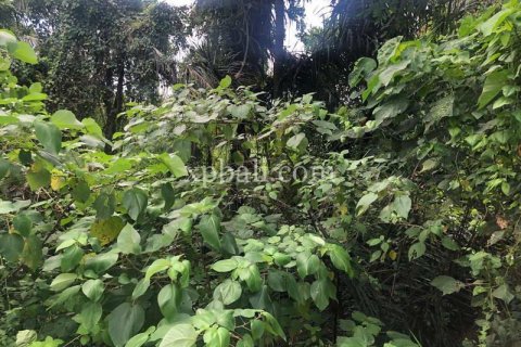800m2 Land in Gianyar, Bali (784) 8