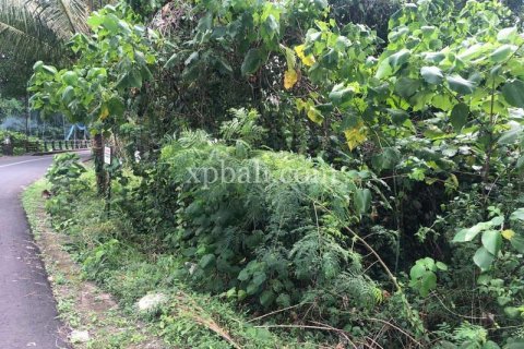 800m2 Land in Gianyar, Bali (784) 6