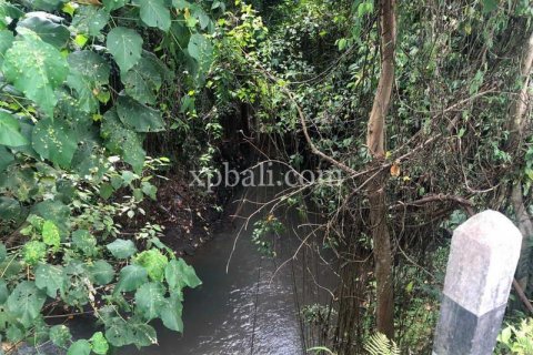 800m2 Land in Gianyar, Bali (784) 9