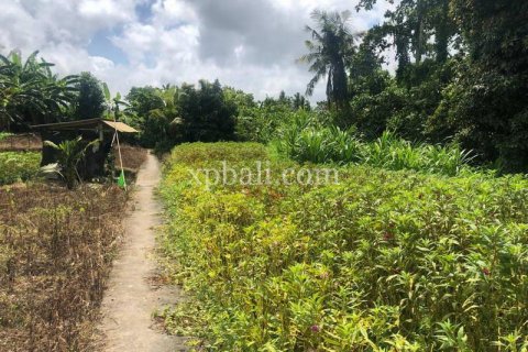 800m2 Land in Gianyar, Bali (784) 2