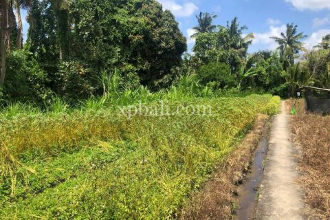 800m2 Land in Gianyar, Bali (784) 7