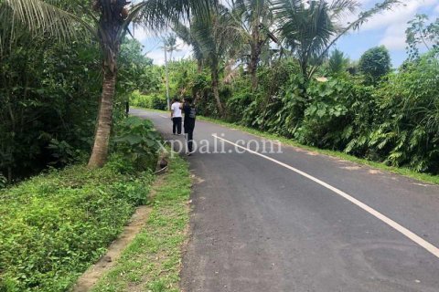 Tanah kavling 800m2 di Gianyar, Bali (784)