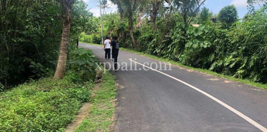 800m2 Land in Gianyar, Bali (784)