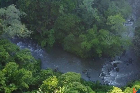 2 bedrooms Villa in Mengwi, Badung, Bali (11984) 11