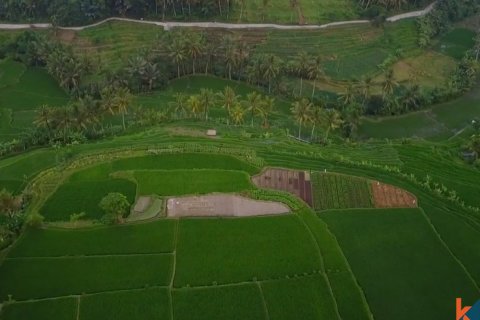 2 bedrooms Villa in Mengwi, Badung, Bali (11986) 6