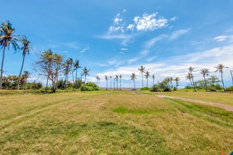 Land in Ketewel, Sukawati, Gianyar, Bali (11983) 4