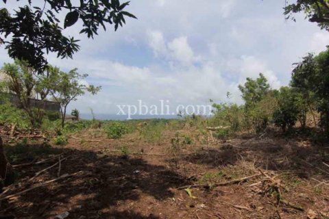 Tanah kavling 21440m2 di Kuta Selatan, Badung, Bali (5971) 6