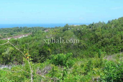 Tanah kavling 21440m2 di Kuta Selatan, Badung, Bali (5971) 3
