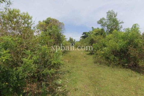 Tanah kavling 21440m2 di Kuta Selatan, Badung, Bali (5971) 7