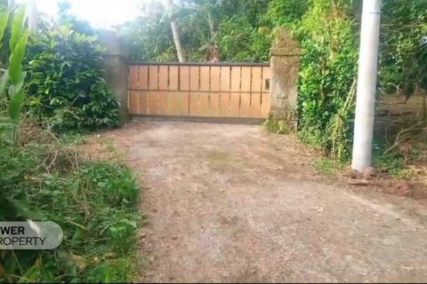 9650m2 Land in Tabanan, Bali (8760) 2