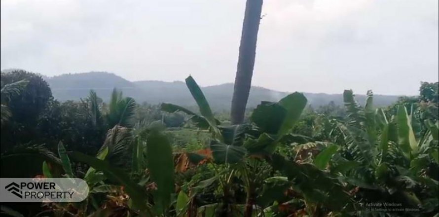 9650m2 Land in Tabanan, Bali (8760)
