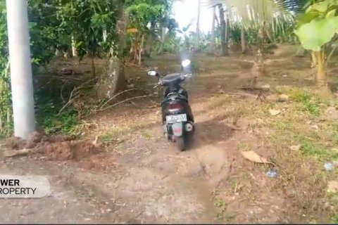 9650m2 Land in Tabanan, Bali (8760) 4