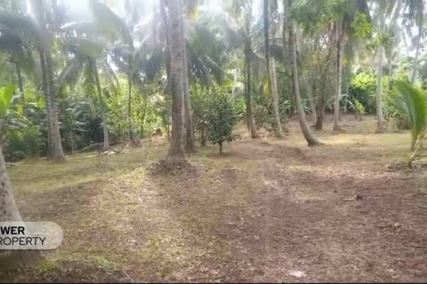 9650m2 Land in Tabanan, Bali (8760) 8