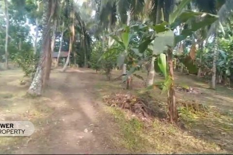 9650m2 Land in Tabanan, Bali (8760) 5