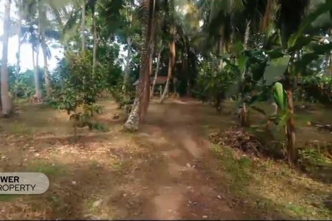 9650m2 Land in Tabanan, Bali (8760) 6