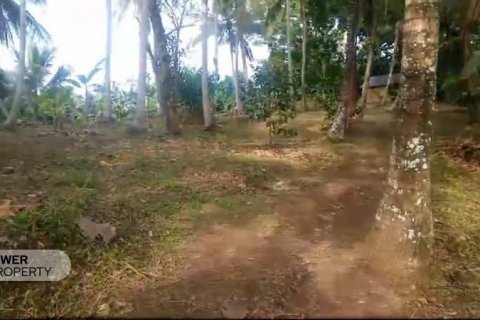 9650m2 Land in Tabanan, Bali (8760) 7