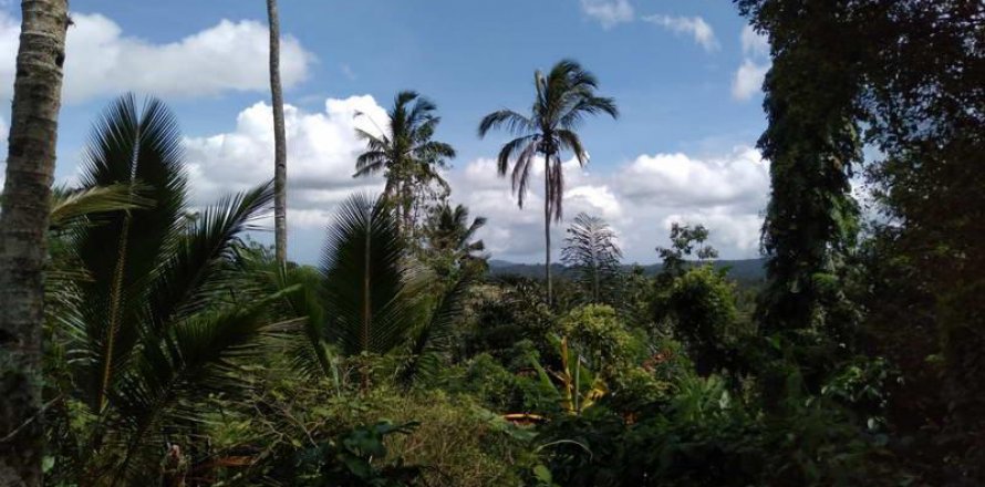 Tanah kavling 6200m2 di Tabanan, Bali (8761)