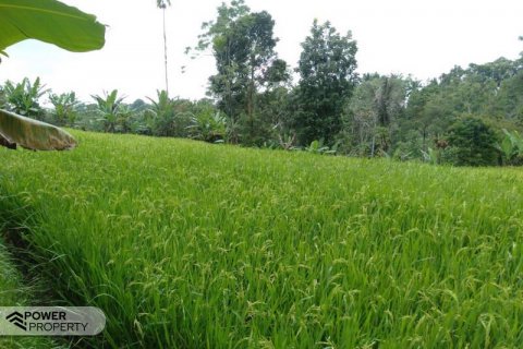 Tanah kavling 6200m2 di Tabanan, Bali (8761) 2